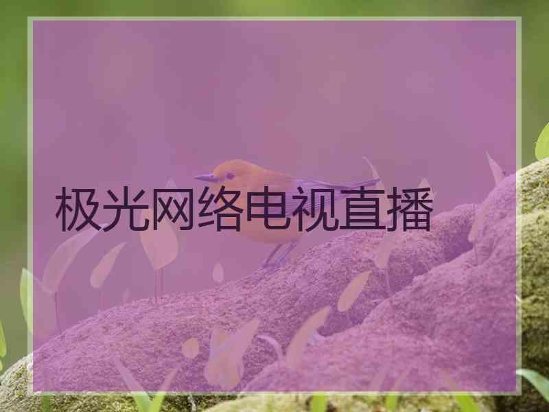 极光网络电视直播