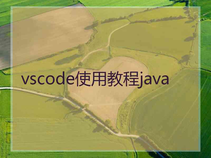 vscode使用教程java