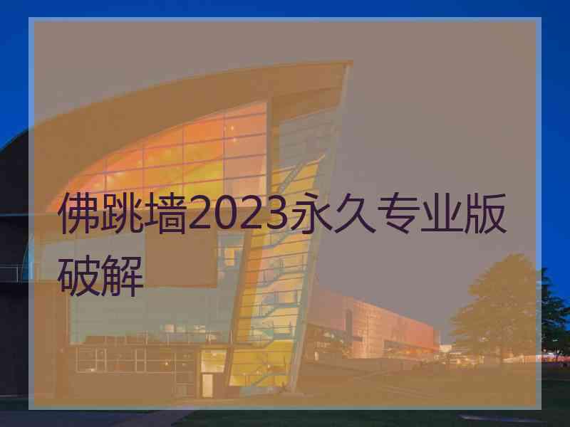 佛跳墙2023永久专业版破解