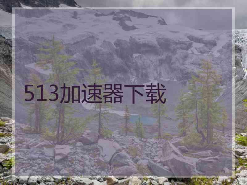 513加速器下载