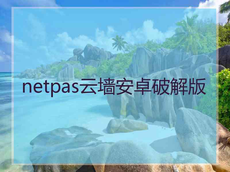 netpas云墙安卓破解版