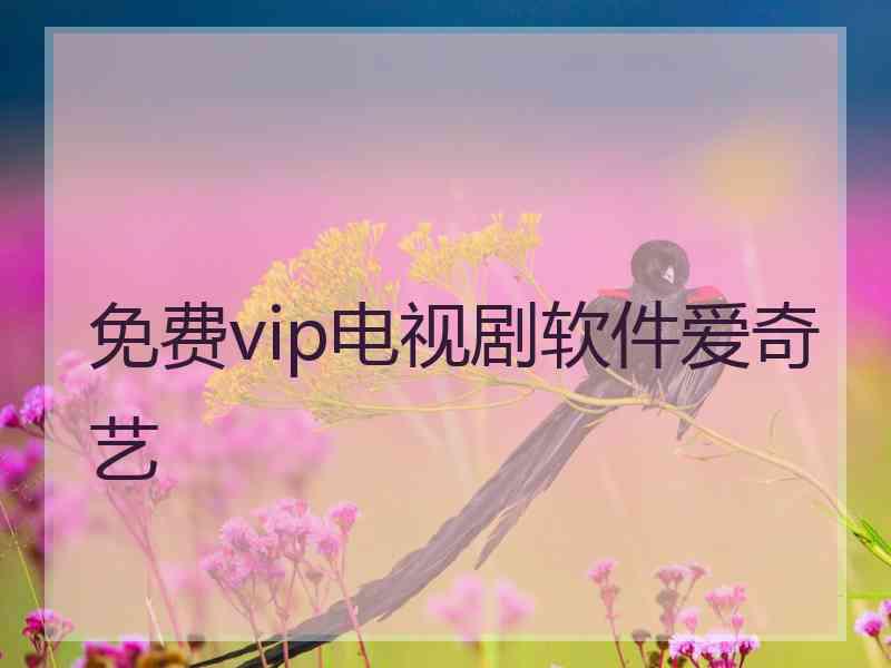 免费vip电视剧软件爱奇艺