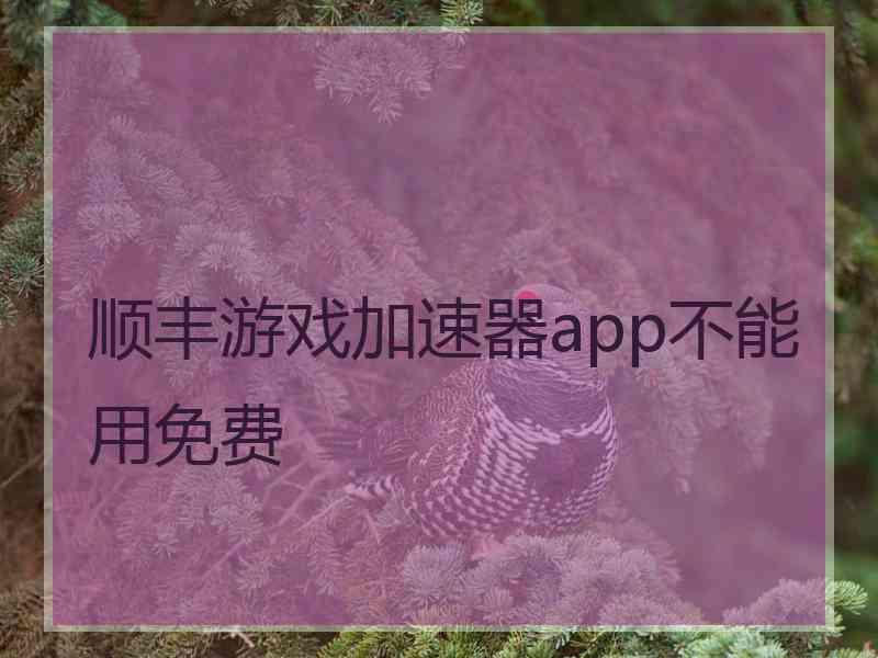 顺丰游戏加速器app不能用免费