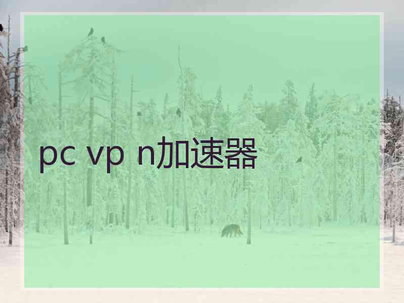 pc vp n加速器