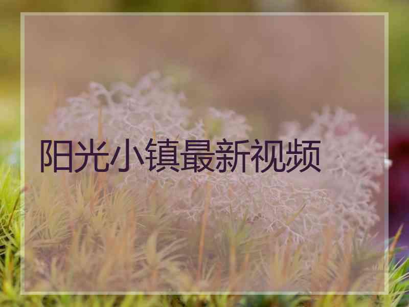 阳光小镇最新视频