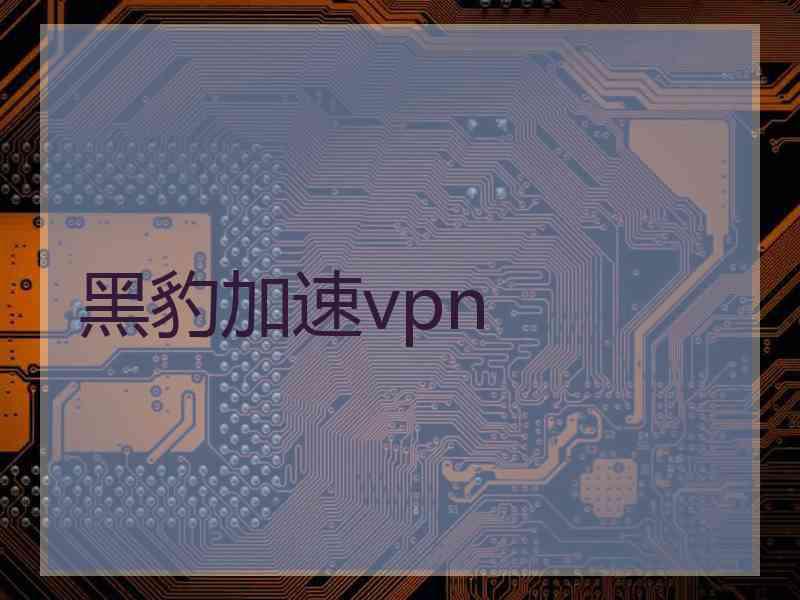 黑豹加速vpn