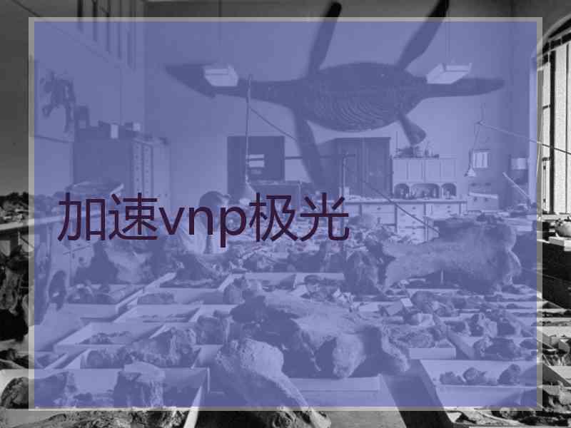 加速vnp极光