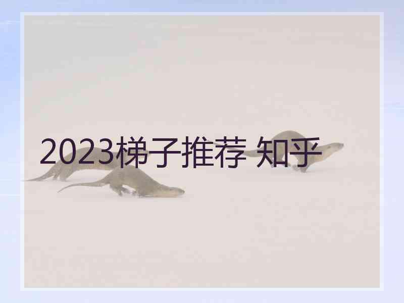 2023梯子推荐 知乎