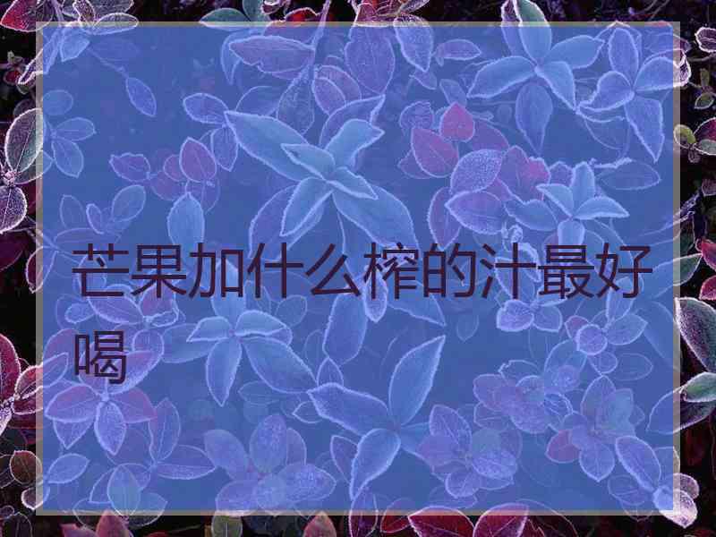 芒果加什么榨的汁最好喝