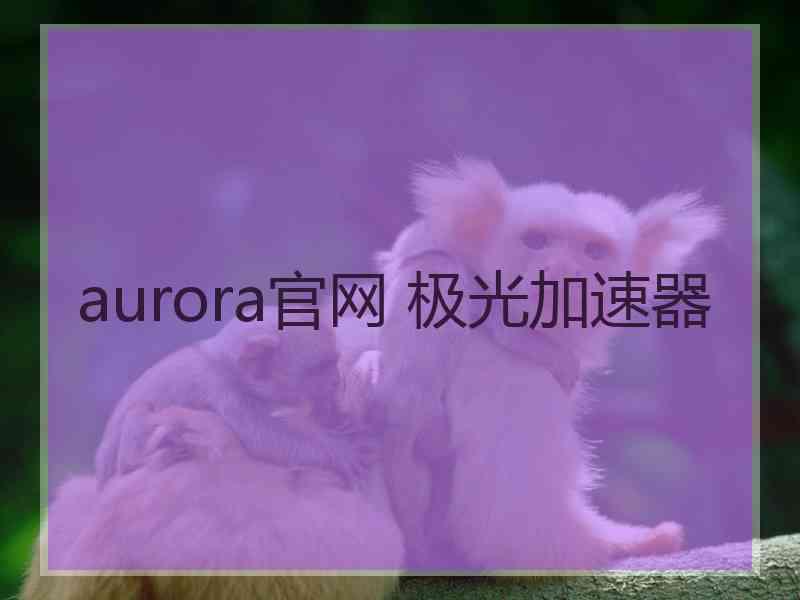 aurora官网 极光加速器