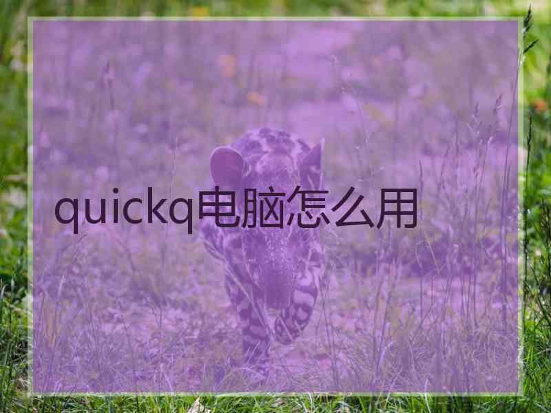 quickq电脑怎么用