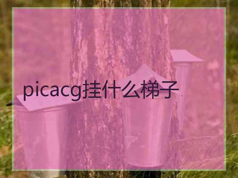 picacg挂什么梯子