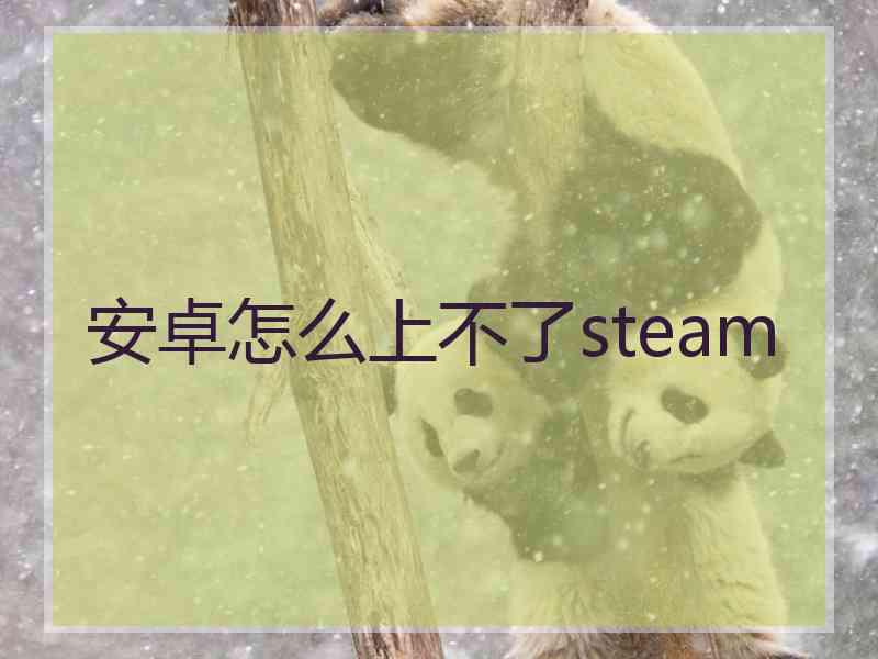 安卓怎么上不了steam