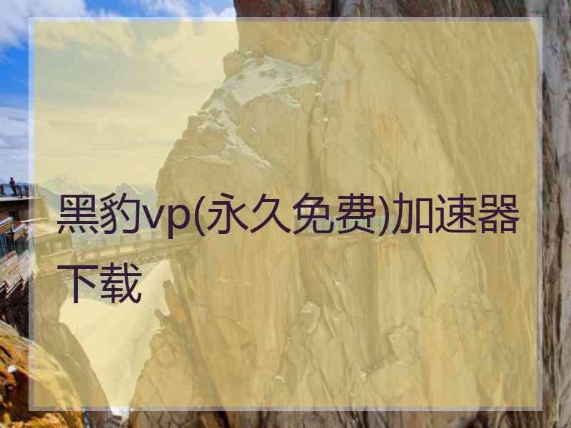 黑豹vp(永久免费)加速器下载