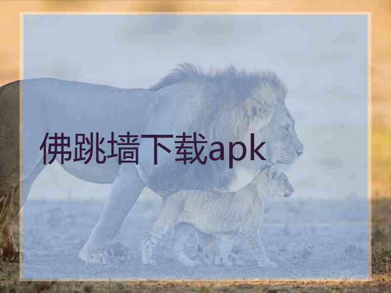 佛跳墙下载apk