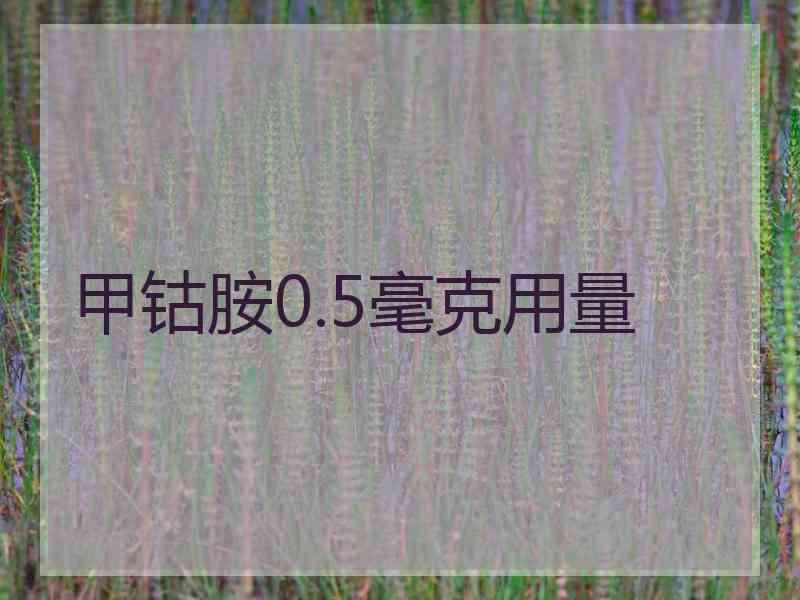 甲钴胺0.5毫克用量