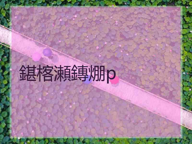 鍖楁瀬鏄焩p