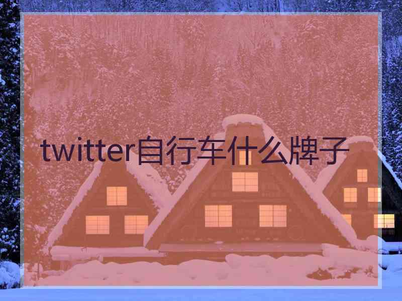 twitter自行车什么牌子