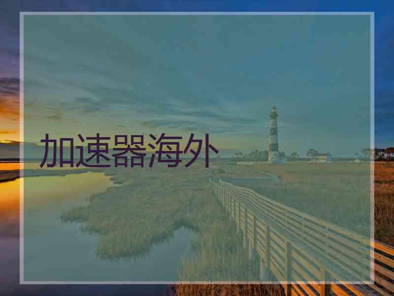 加速器海外