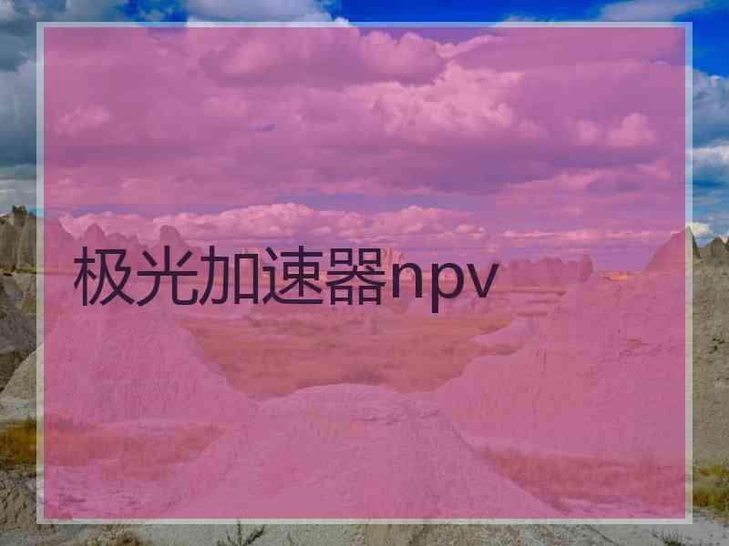 极光加速器npv