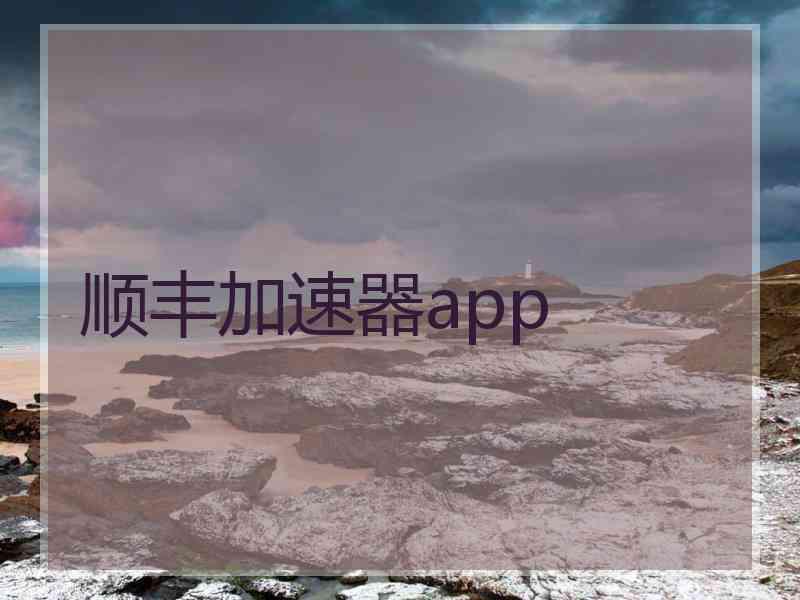 顺丰加速器app