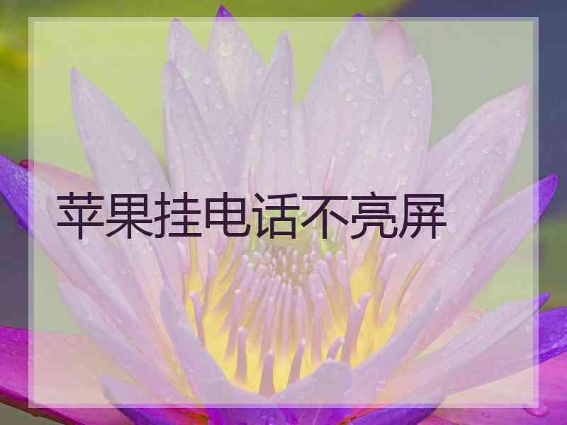 苹果挂电话不亮屏