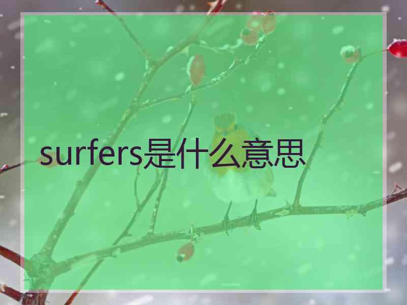 surfers是什么意思