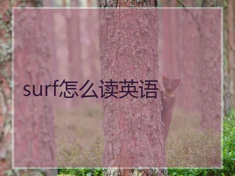 surf怎么读英语