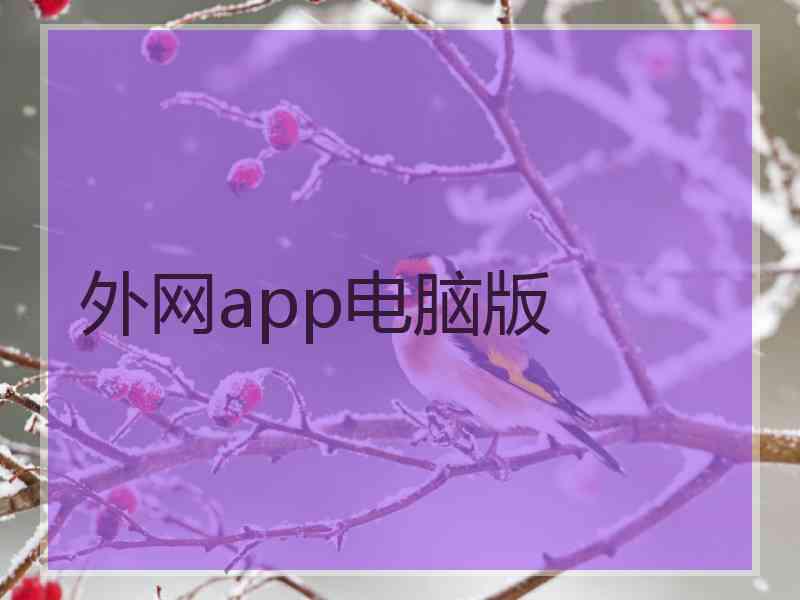 外网app电脑版