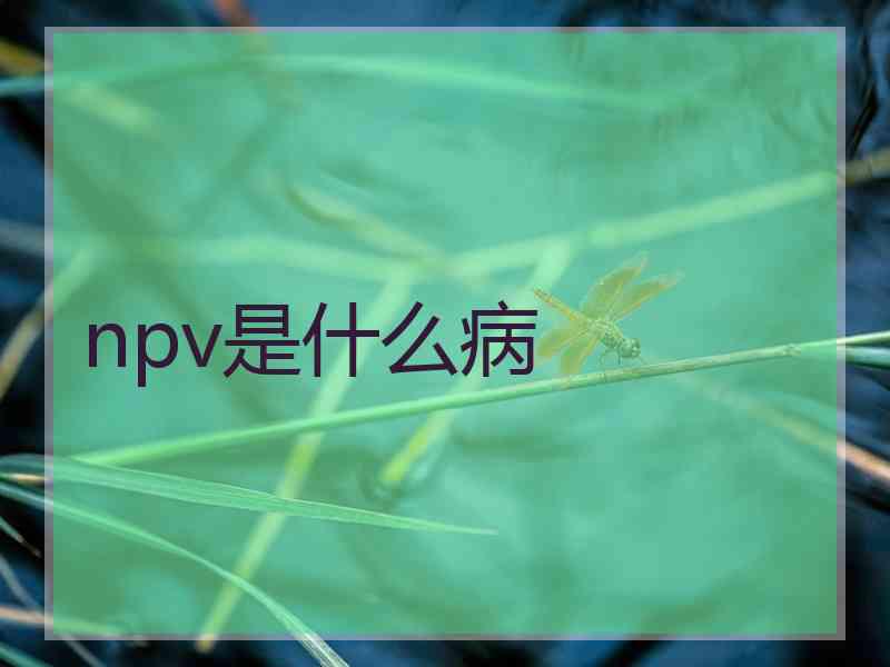 npv是什么病