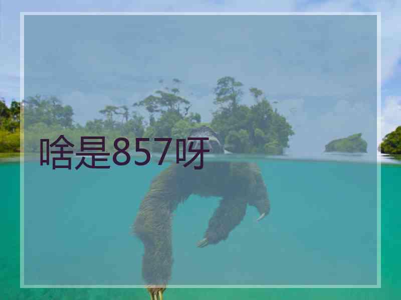 啥是857呀