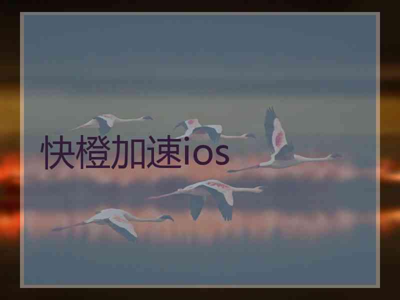 快橙加速ios