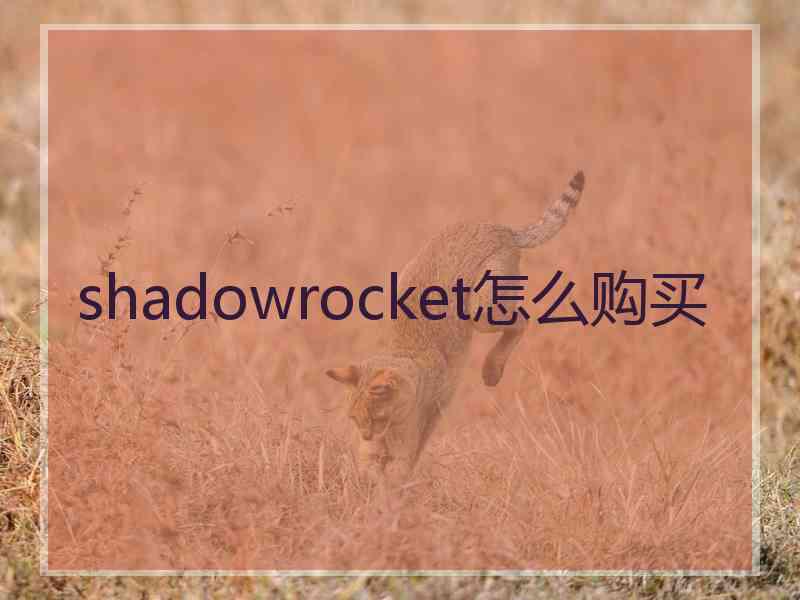 shadowrocket怎么购买