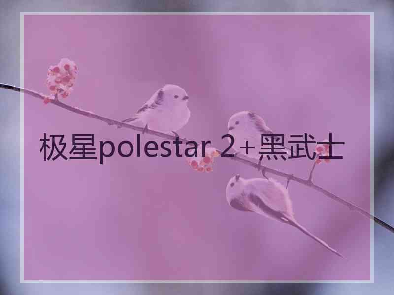 极星polestar 2+黑武士