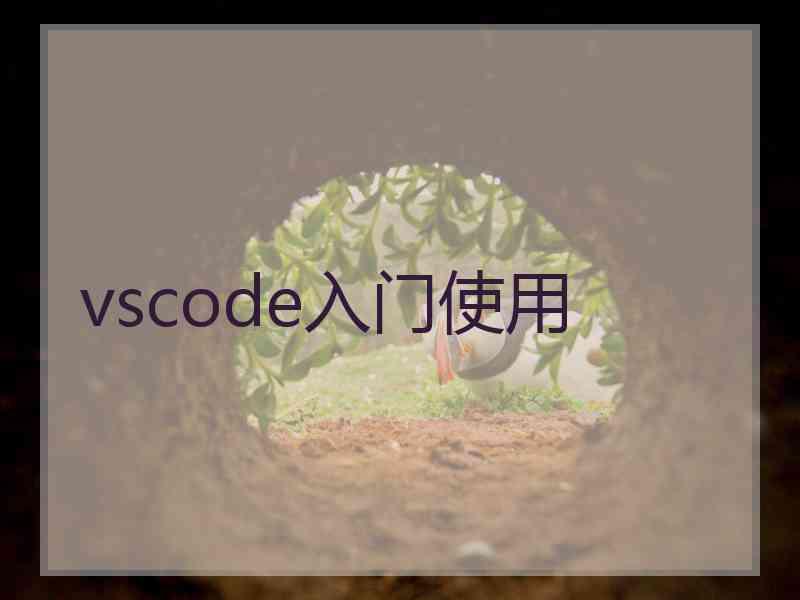 vscode入门使用