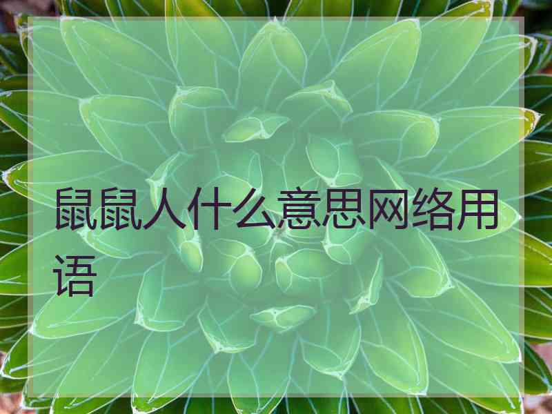 鼠鼠人什么意思网络用语