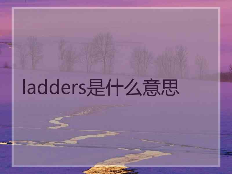 ladders是什么意思