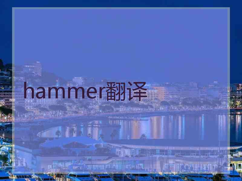 hammer翻译