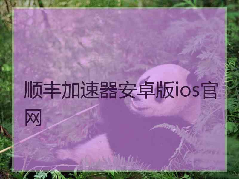 顺丰加速器安卓版ios官网