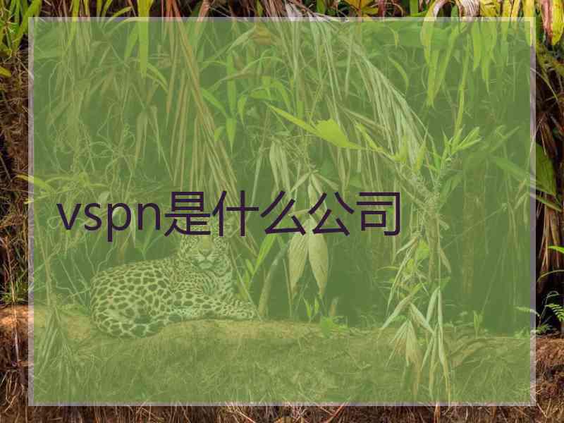 vspn是什么公司