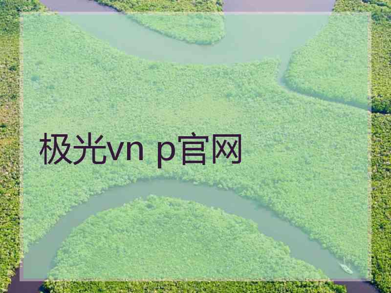 极光vn p官网