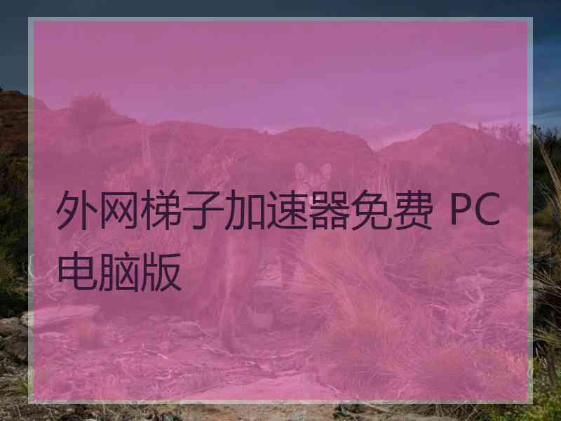 外网梯子加速器免费 PC电脑版