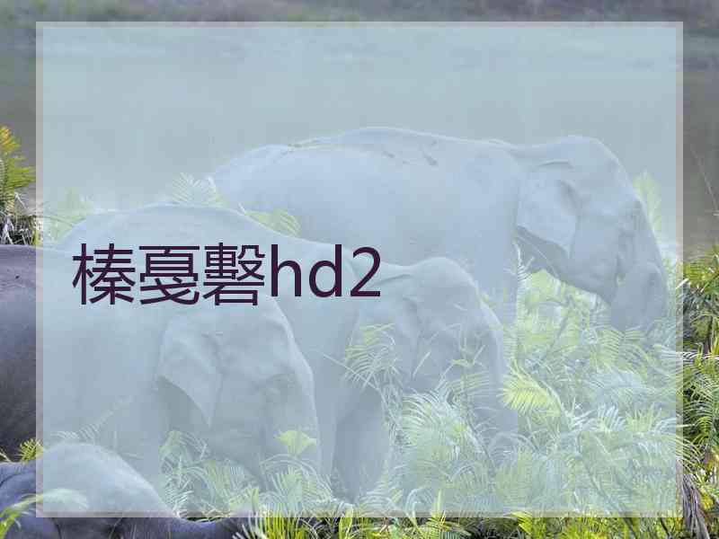 榛戞礊hd2