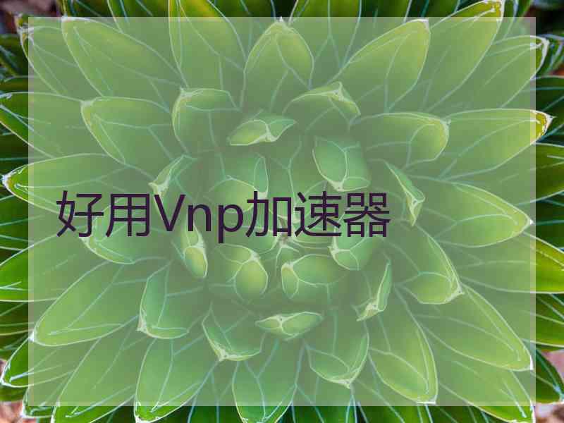 好用Vnp加速器