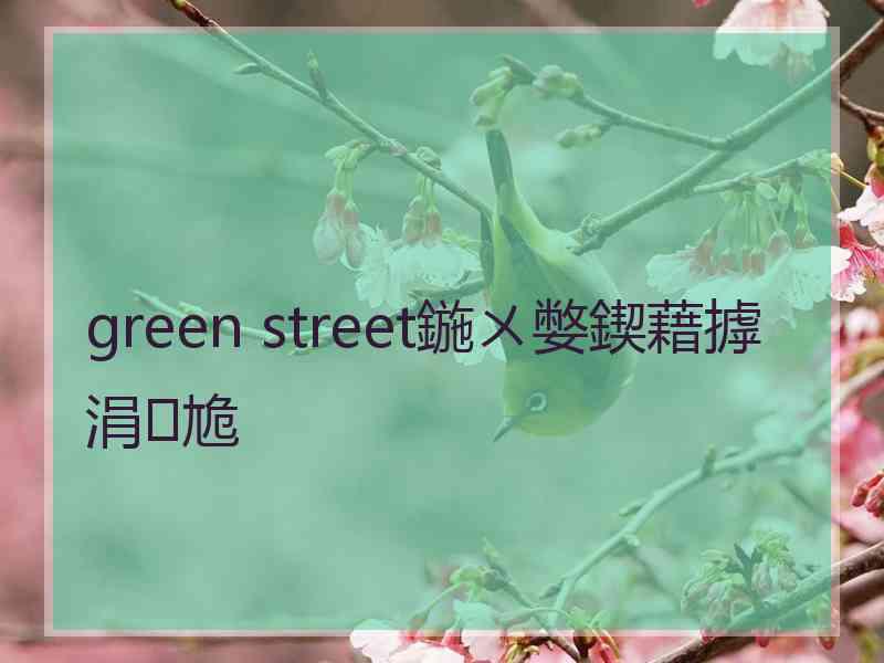 green street鍦ㄨ嫳鍥藉摢涓尯