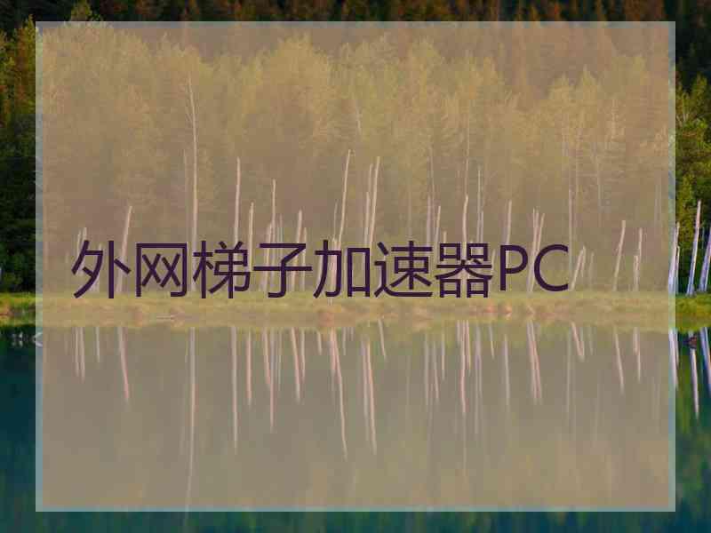 外网梯子加速器PC