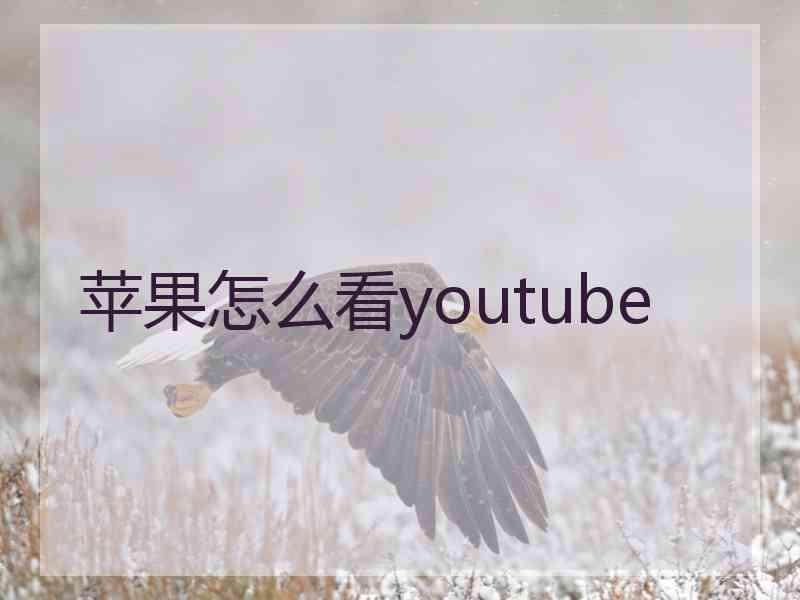 苹果怎么看youtube