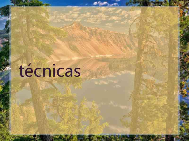 técnicas