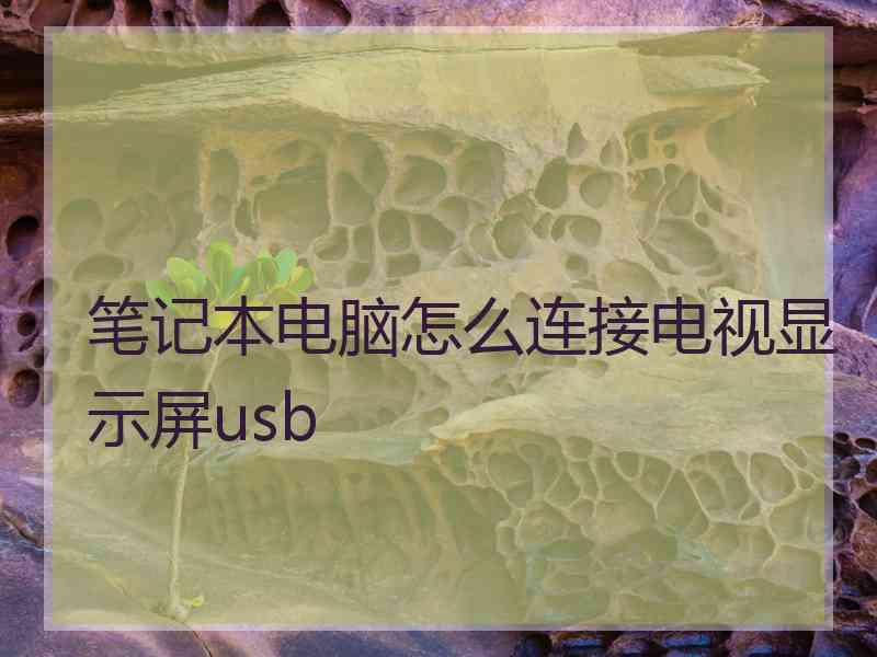 笔记本电脑怎么连接电视显示屏usb