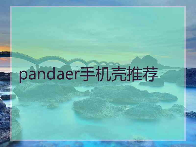 pandaer手机壳推荐